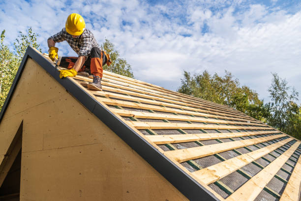 Best Roof Gutter Cleaning  in Frazier Park, CA